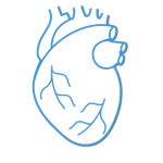 syndena therapeutic areas cardiology